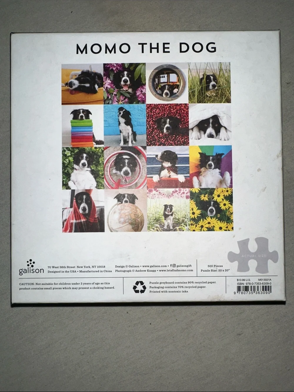 Vintage Collectible Border Collie Photo Collage Canvas - Multi Color Dog W